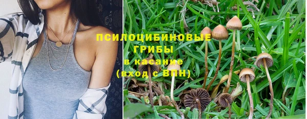 ГАЛЛЮЦИНОГЕННЫЕ ГРИБЫ Алексеевка