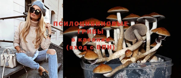 ALPHA-PVP Алексин