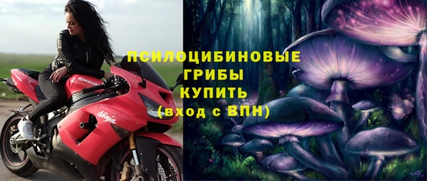 ALPHA PVP Алзамай