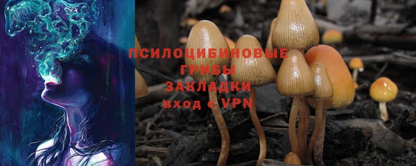 ALPHA-PVP Алексин